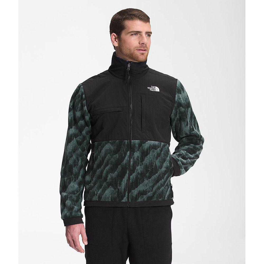 The North Face Printed Denali 2 Ανδρικα Μπουφάν Fleece - Πρασινο (VDJA71692)